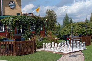 Chess game on human scale in the back yard.